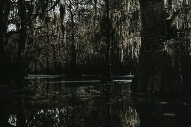 Lake Sumter